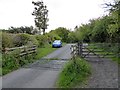 Cattle grid on Tor Down