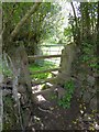 Granite and wood stile on Tor Down