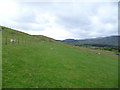 Path up Aran Benllyn