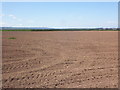 Newly sown arable land, Stock Moor