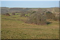 Corfe Common