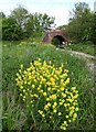 "Rob Coats!" - old railway bridge near Thurnscoe