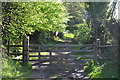 West Somerset : Watery Lane