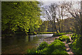 West Somerset : The River Barle