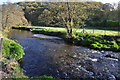 West Somerset : The River Barle