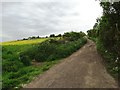 Chapel Lane rising to Great Houghton