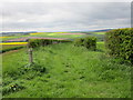 Bridleway to Thirkleby