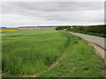 Lane to Kirby Wold Farm