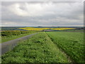 View across the valley of the Gypsey Race