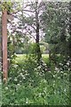 Footpath to Rose Hall Cottages