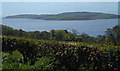 Great Cumbrae