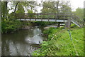 ST3100 : Footbridge across the River Axe by Nigel Mykura