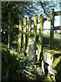 Gated stile on Sowerby bridge FP81, Norland