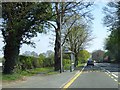 Bus shelter on Tarvin Road, Littleton