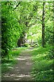 SO3608 : Woodland path by Philip Halling