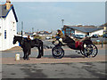 SS4329 : Onward travel  horse and carriage near the car park and bus stop, Westward Ho! by Robin Stott