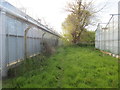 Footpath between glass houses