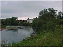 SK4430 : River Trent by Tim Glover