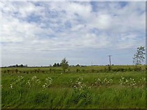 SE8728 : Farmland near Laxton Grange by Steve  Fareham