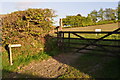 West Somerset : Grassy Field & Gate