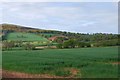 Farmland view in the spring