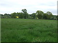 Farmland near Market Bosworth