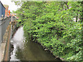 Quaggy River in Lewisham