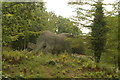 View of a dinosaur in the Dinosaur Trail in Crystal Palace Park #5