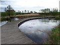 NZ0617 : Fishing Pond, The Hub by Mick Garratt