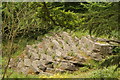 View of a rock outcrop in Crystal Palace Park