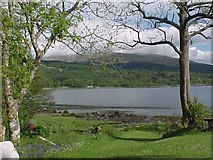 NM9644 : Stream flows into Loch Creran by Tim Glover