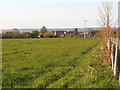 Field, and houses on Haste Hill Road, Boughton Monchelsea (1)