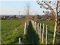 Footpath between Heath Road and Haste Hill Road, Boughton Monchelsea