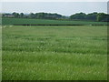 Fields north of the B5493