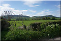 Field on the edge of Swainby