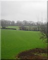 Farmland by the railway