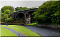 Disused Viaduct on Dock Road