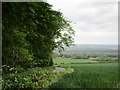 View from Thorpe Bassett Wold