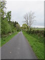 Lane next to Coalhole Wood