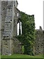 SU4509 : Netley Abbey - Ivy-mantled walls by Rob Farrow