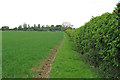 Footpath on field margin, Whelp Street, Preston St Mary