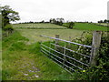 H7347 : Hay field, Ballyboy by Kenneth  Allen