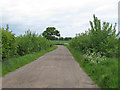 Track near Swallows Farm, Lindsey