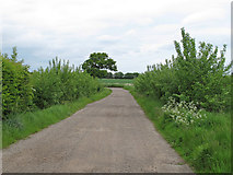 TL9846 : Track near Swallows Farm, Lindsey by Roger Jones