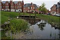 Pond at Mayflower Gardens, Eaves Green