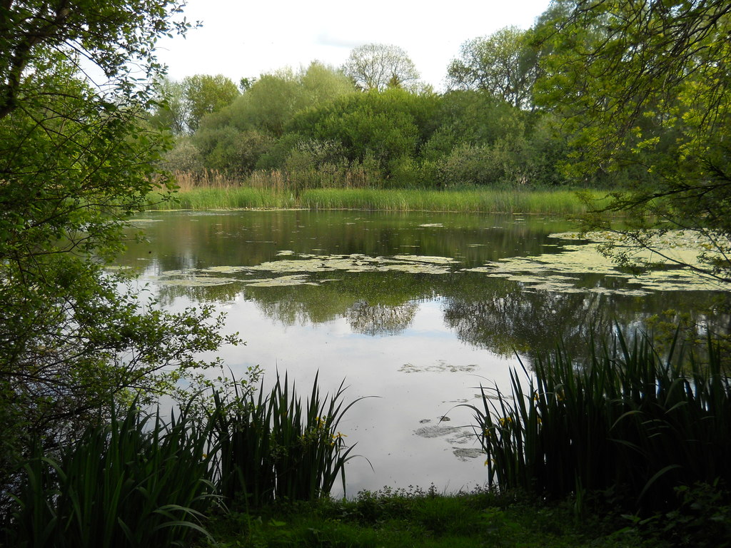 Lake near Lolham Bridges © Paul Bryan :: Geograph Britain and Ireland