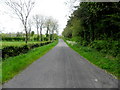 Dromore Road, Curlagh