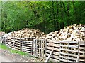 SU3703 : Wood piles for charcoal burning by Alex McGregor