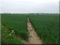 SK2505 : Footpath over fields, Shuttington by JThomas
