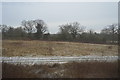 SP1774 : Frosty Farmland, The Ards by N Chadwick